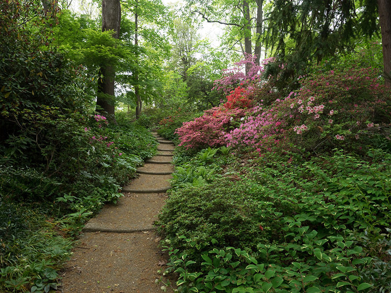 Garden path at Historic London Town, MD